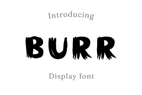 Burr: The Bold Display Font Defining Modern Visual Confidence