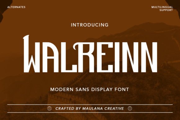 Unlocking Brand Personality: Why Walreinn is Reshaping Visual Identity